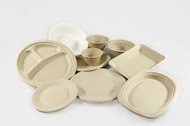 Fabrican empresas mexicanas desechables&nbsp;biodegradables