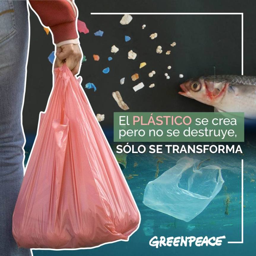 Extiende Greenpace México campaña para eliminación de plástico en&nbsp;Zacatecas